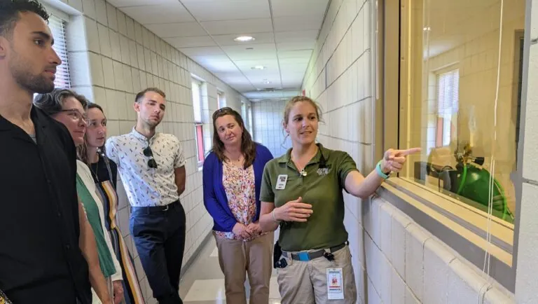 Staff leading guests on a behind-the-scenes tour in the animal medical center