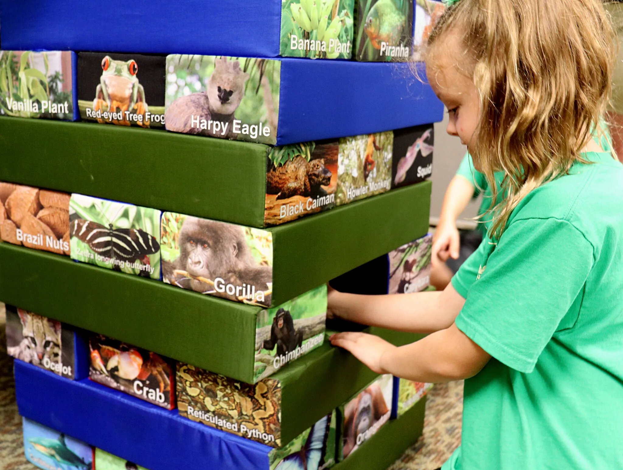 Education: school programs at the Indy Zoo