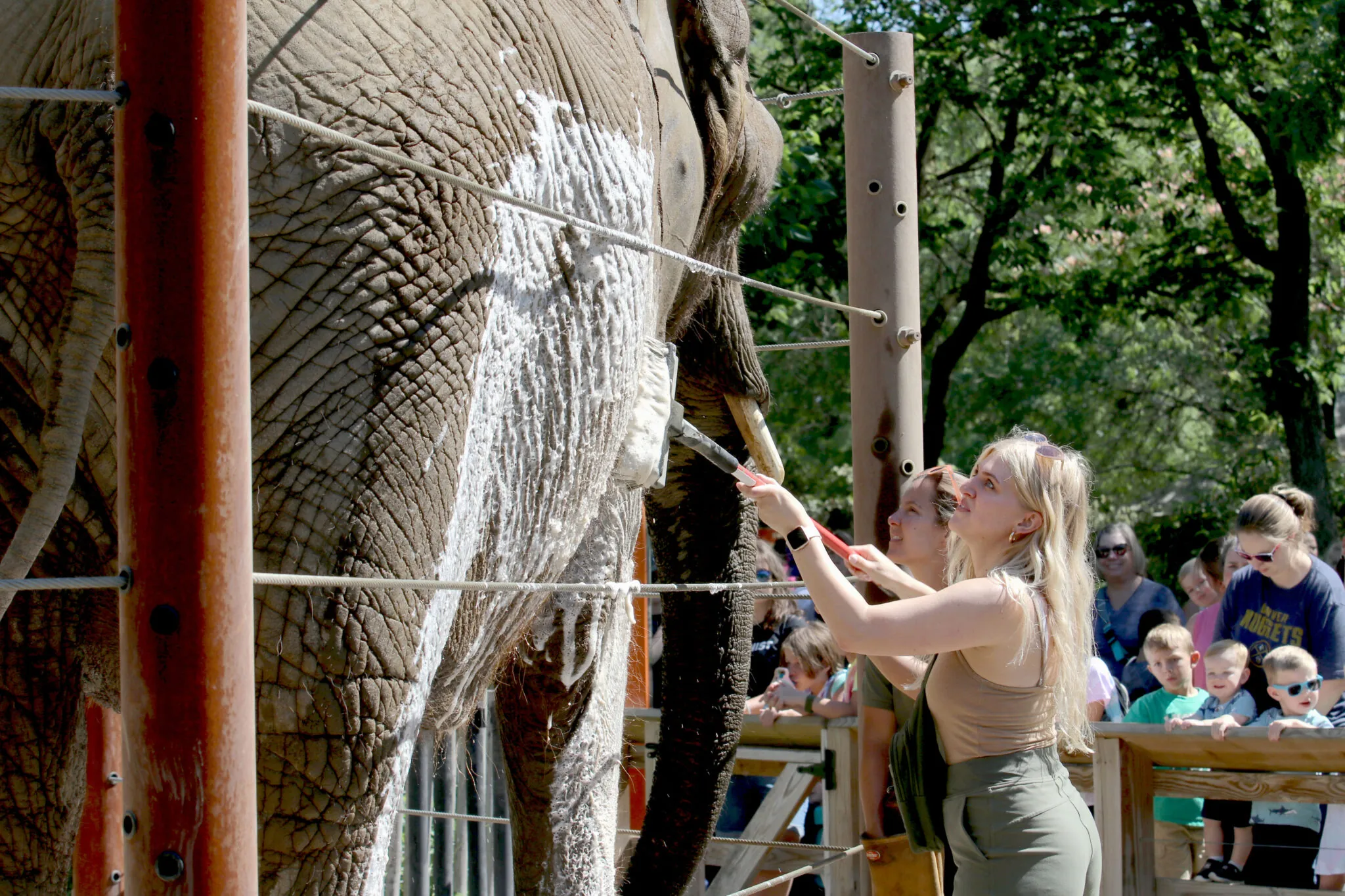 Two women scrubbing an elephant with a long brush