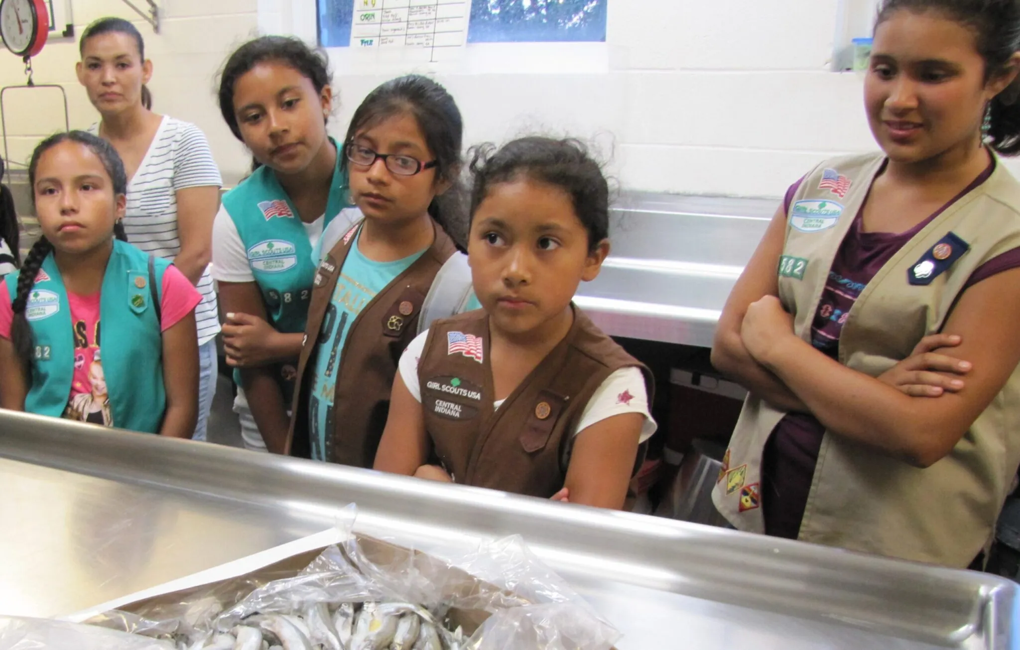 Girl Scouts Youth Program behind the scenes at the Zoo