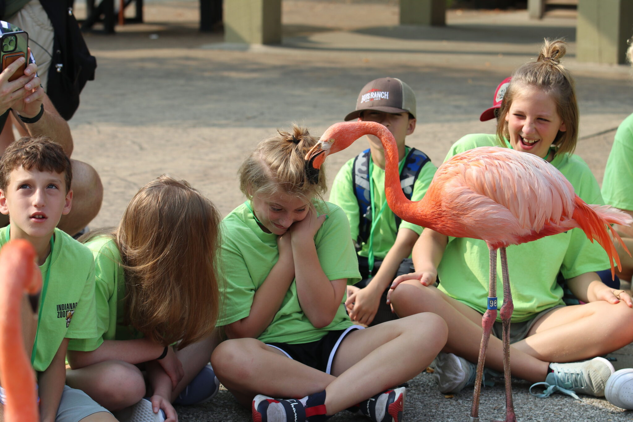 Zoo Camp kids during Flamingo Mingle - 2023