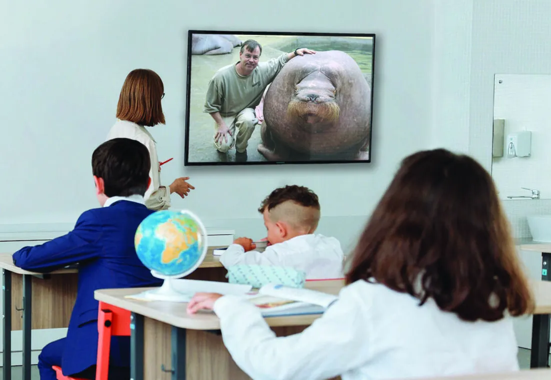 virtual classroom: watching tv with a man and a walrus