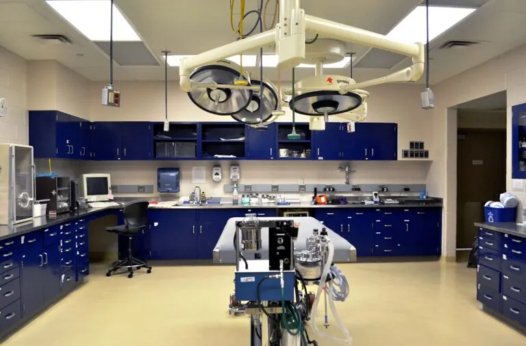 Veterinary Examination Room