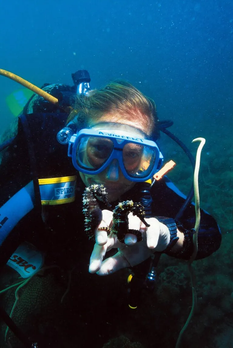 amanda vincent conservationist underwater with seahorse