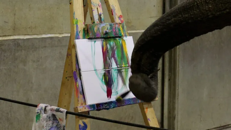 elephant painting