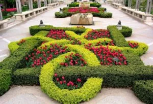 Knot garden with tulips
