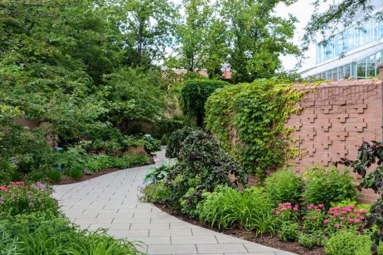 Border Garden path