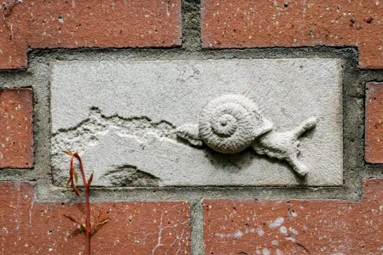 Concrete brick inset with snail and its trail in relief at white river gardens