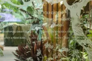 Conservatory glass art with donor names