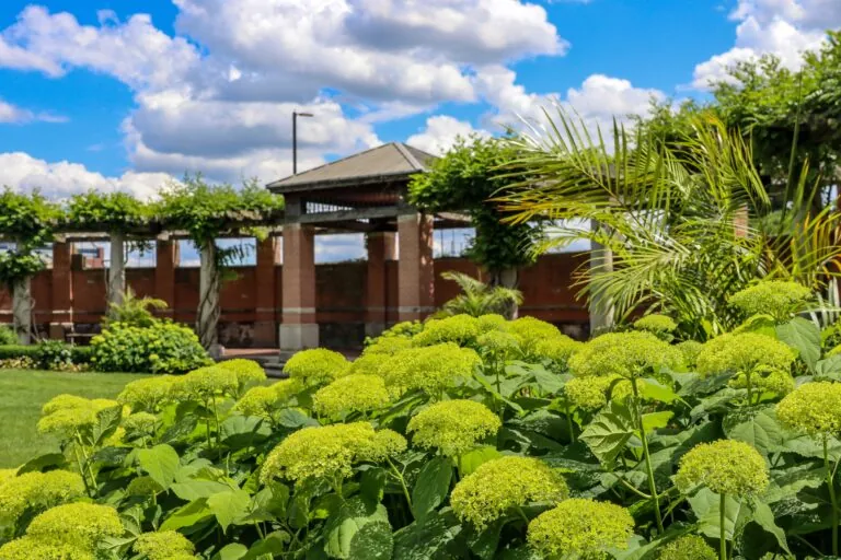 Wedding Garden with flowers in foreground