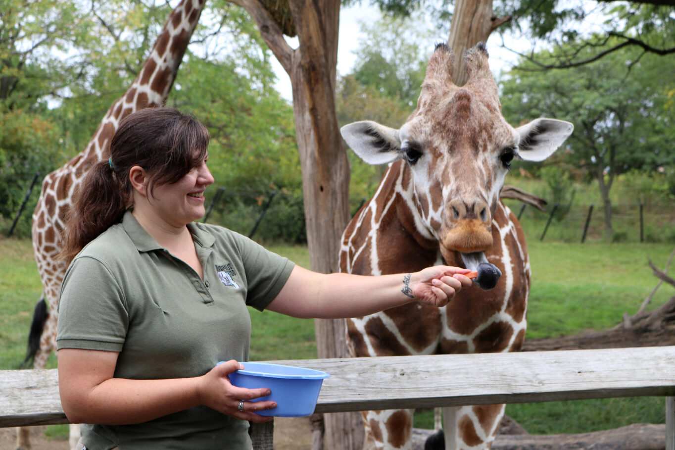 Internships at the Zoo - Apply Now