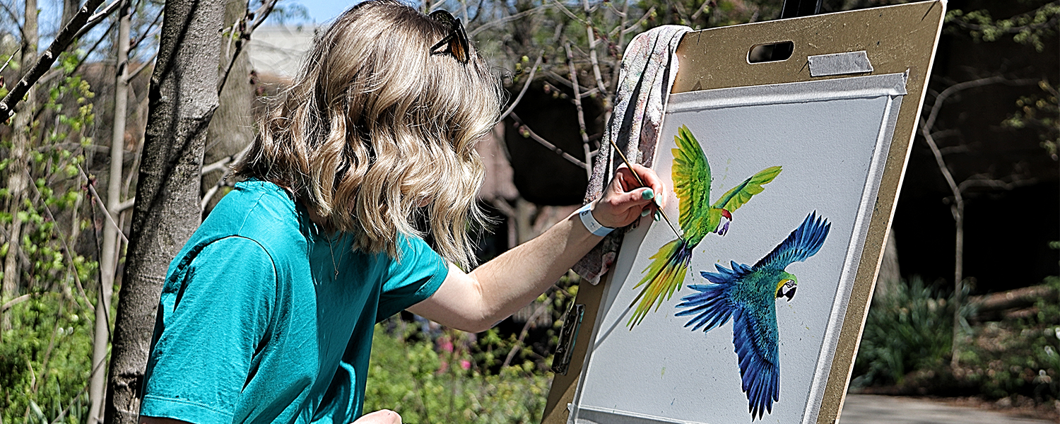 artist painting macaws on a white canvas