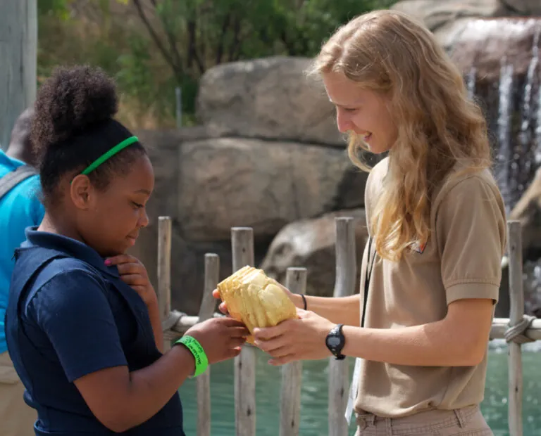 A teen volunteer shows a guest an animal skull.