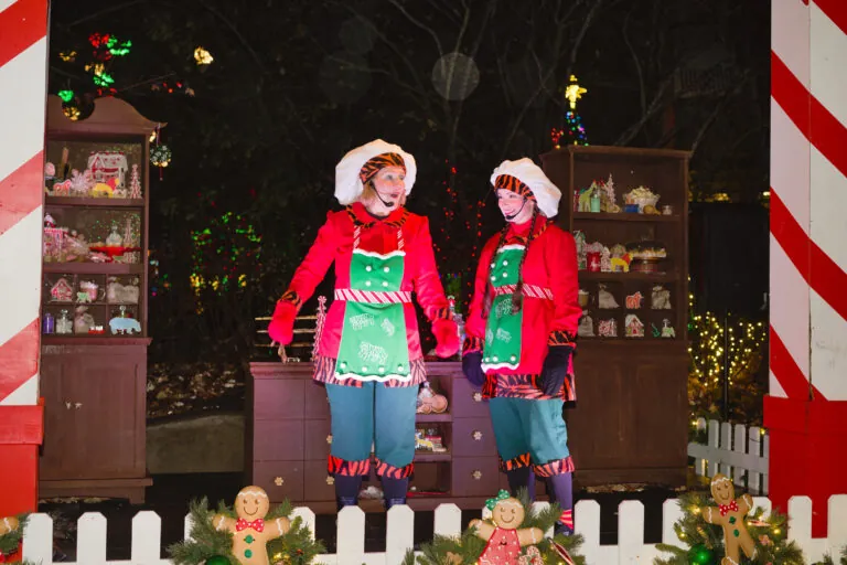 Two women dressed as elves for Christmas at the Zoo