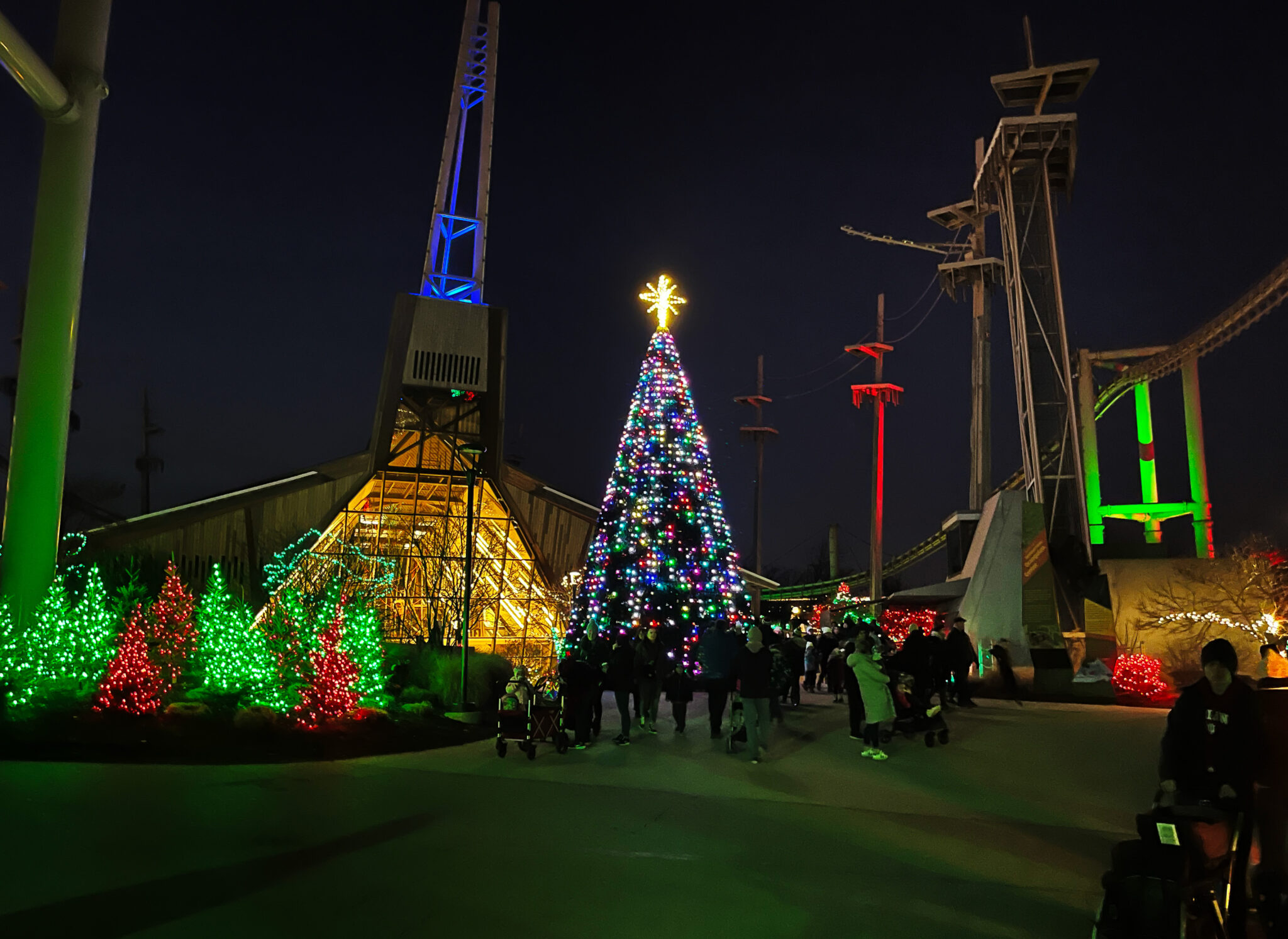 Christmas lights decorating tree and orangutan center at the Indianapolis Zoo