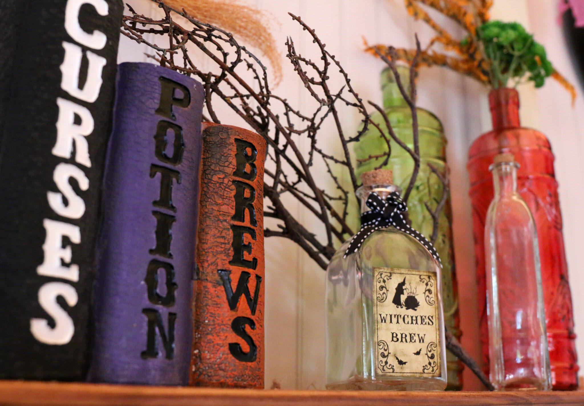 Spell books and potions ZooBoo