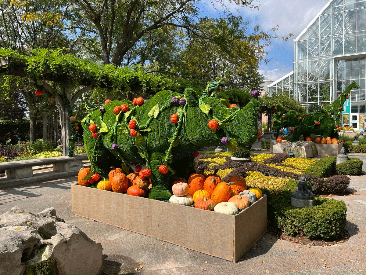 garden with topiary animals and pumpkins