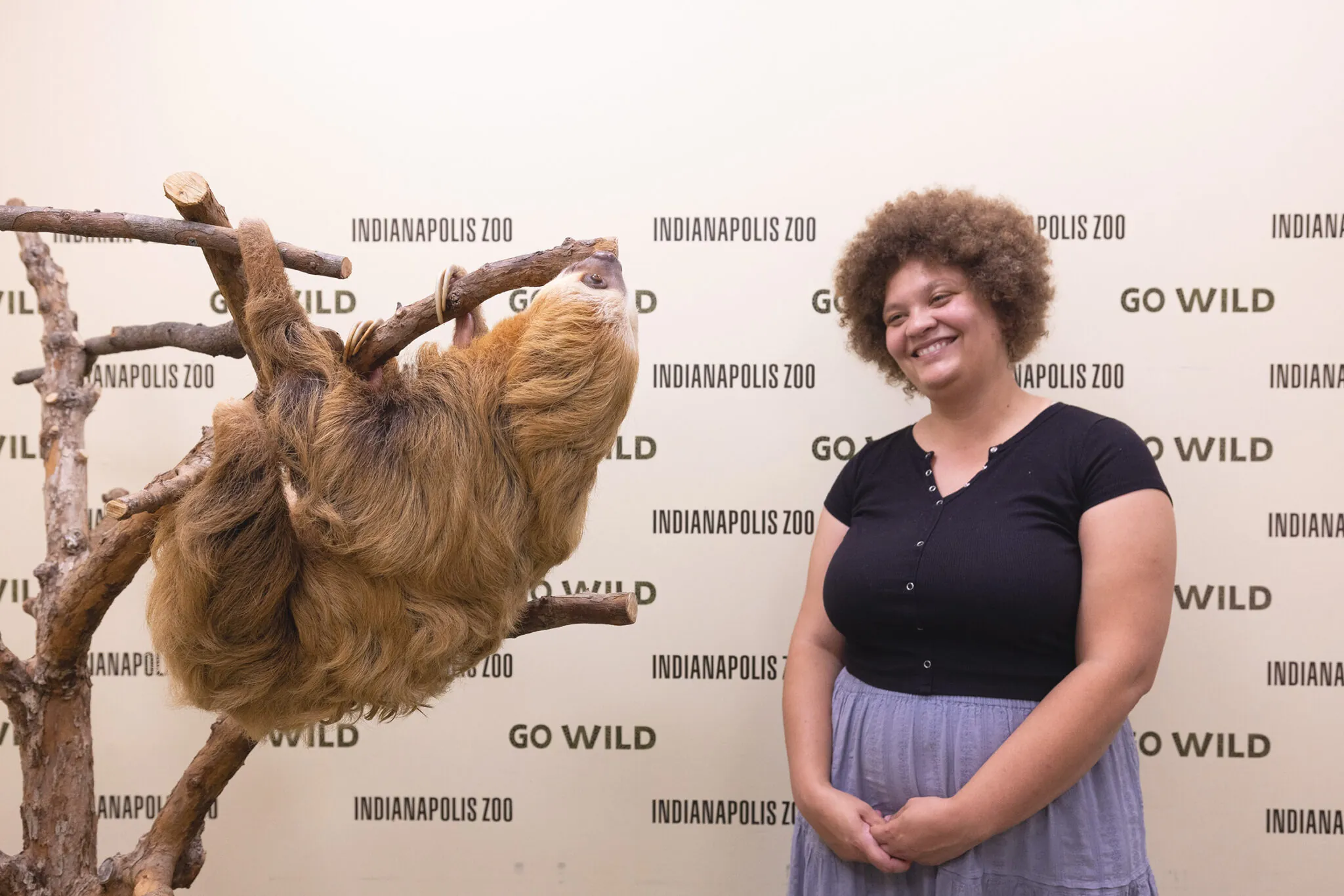 woman smiling at sloth in tree, sloth adventures at the Indy Zoo