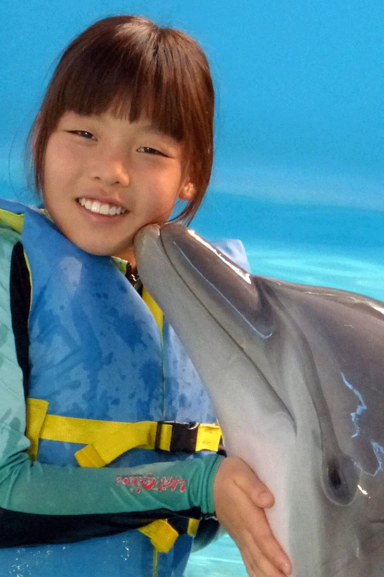 dolphin kissing girl on cheek, in water adventure