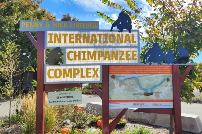 chimpanzee complex sponsor sign