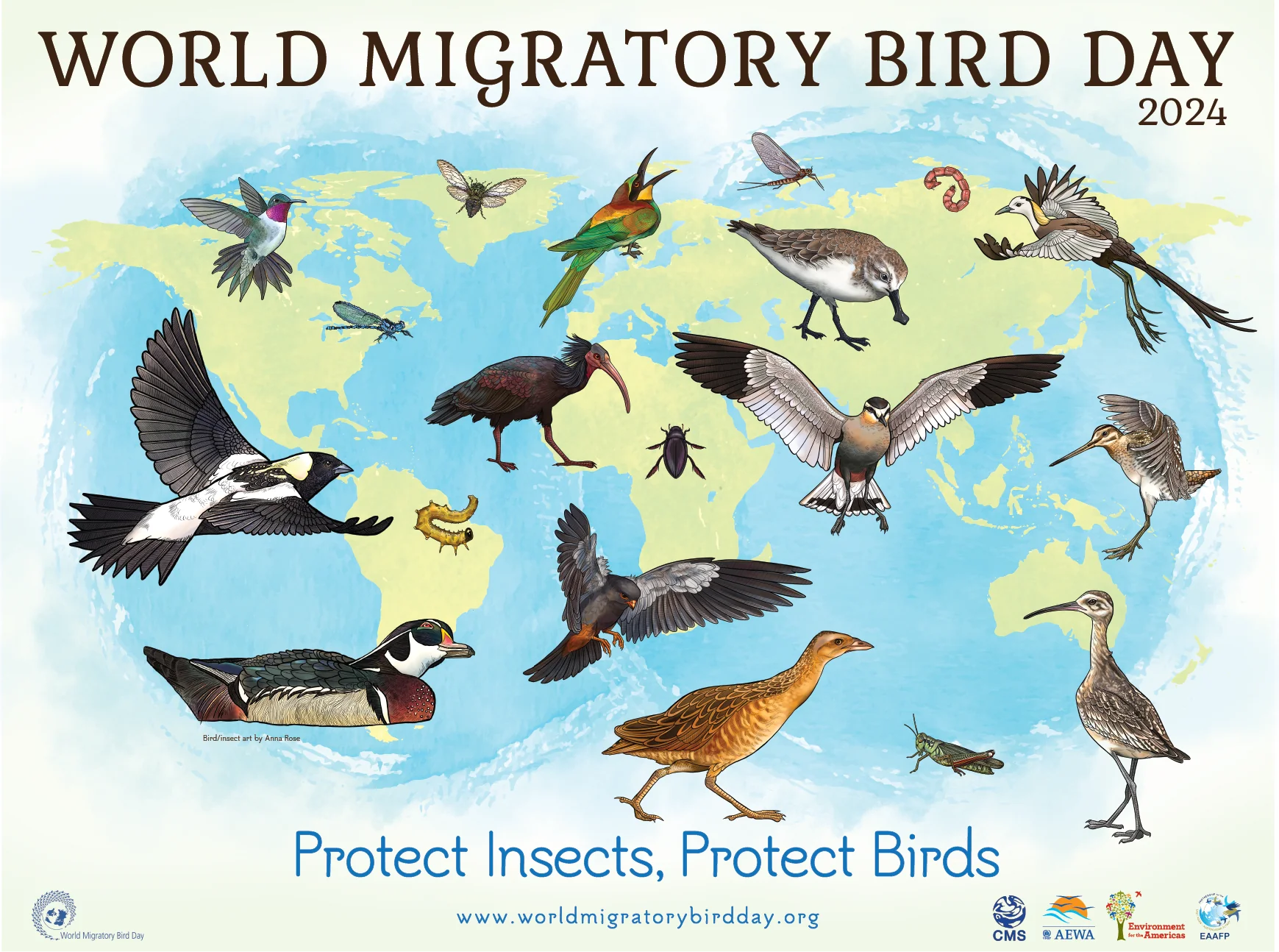 world map of migratory birds