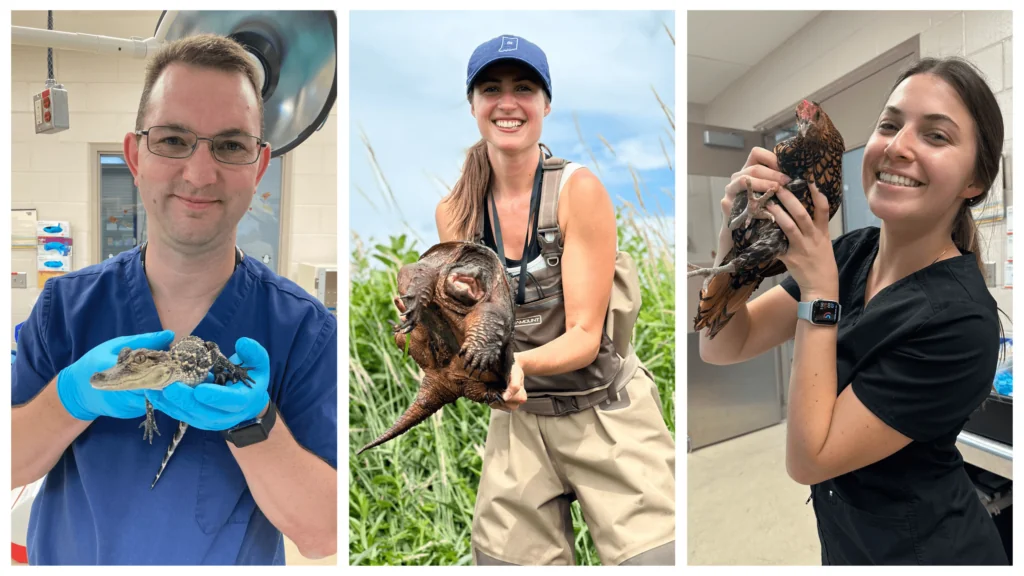 National Veterinary Technician Week