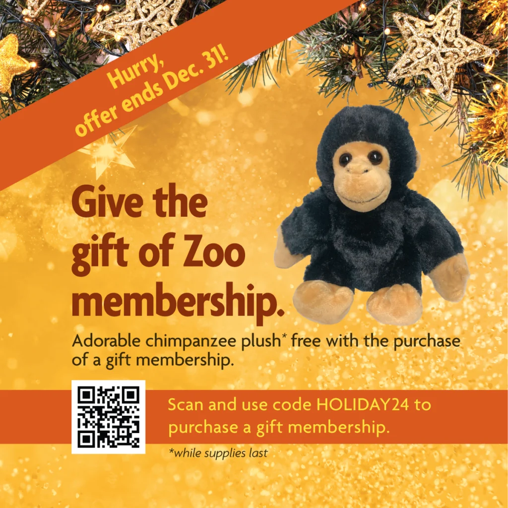 Zoo Gift Giving Ideas