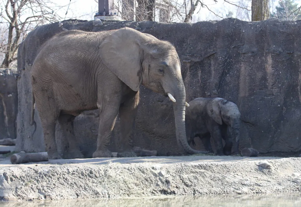 Indianapolis Zoo Presented Edward H. Bean Award