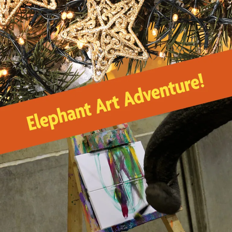 holiday elephant art